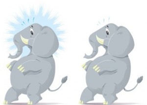 elephants tip toe concurrent use - small